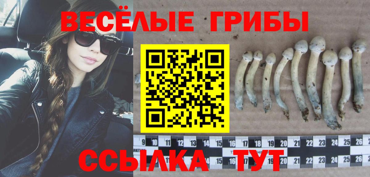 Галлюциногенные грибы GOLDEN TEACHER  Вход с VPN  Людиново 